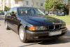 DSC_7431.jpg