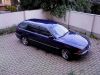 DSC00026~0.JPG